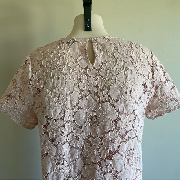 BCBGMaxAzria Diane Lace Mini Dress Pastel Pink Oversized With Slip Size Medium - Picture 11 of 16